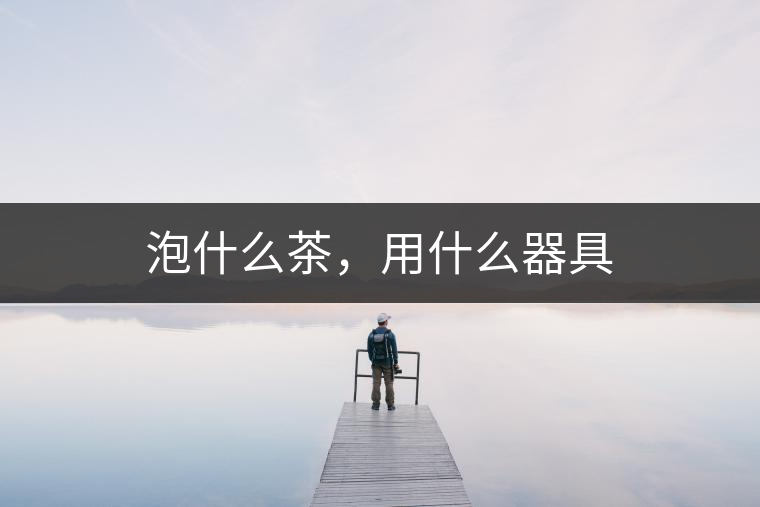 泡什么茶，用什么器具