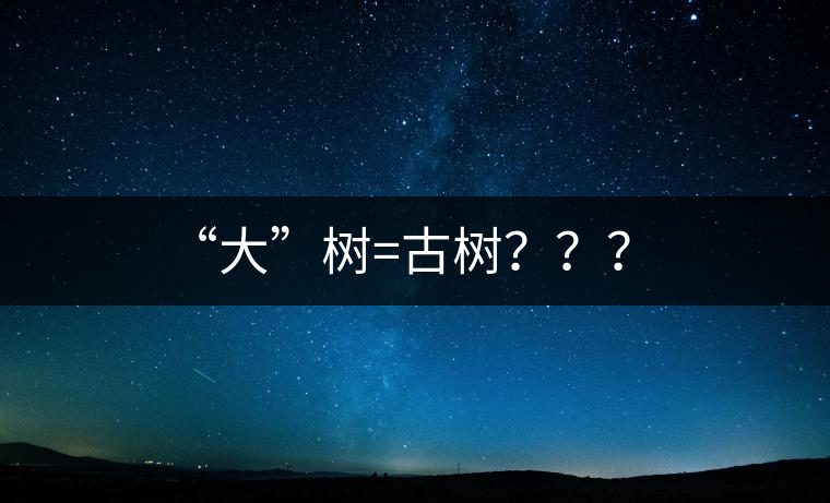 “大”樹=古樹？？？