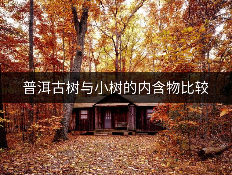 普洱古樹與小樹的內(nèi)含物比較