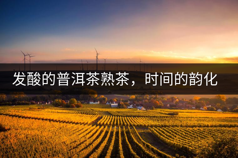 發(fā)酸的普洱茶熟茶，時(shí)間的韻化會(huì)讓它驚艷無比！