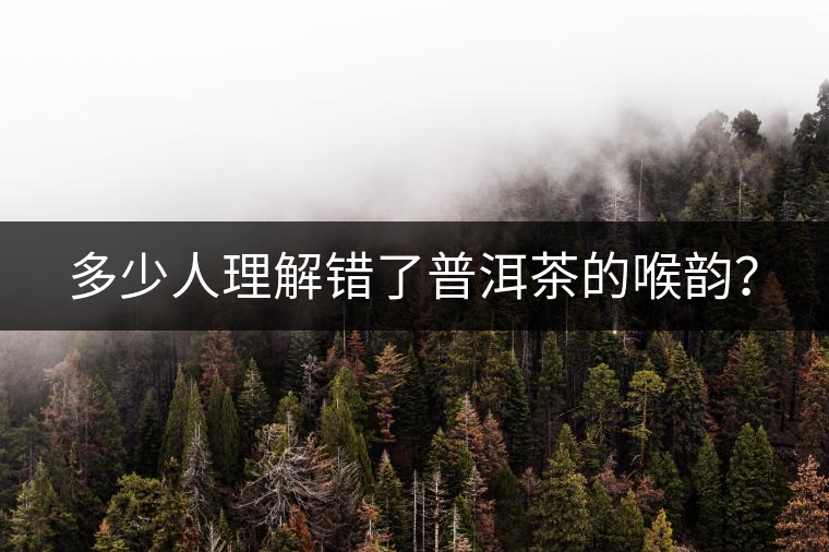 多少人理解錯(cuò)了普洱茶的喉韻？