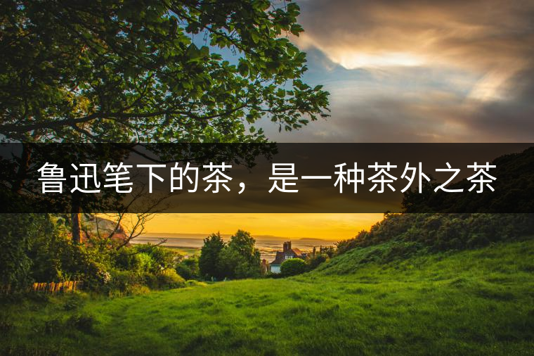 魯迅筆下的茶，是一種茶外之茶