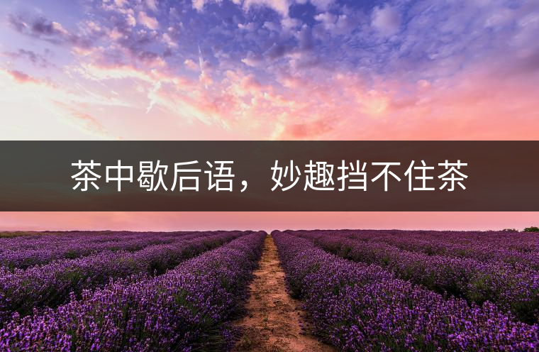 茶中歇后語，妙趣擋不住茶