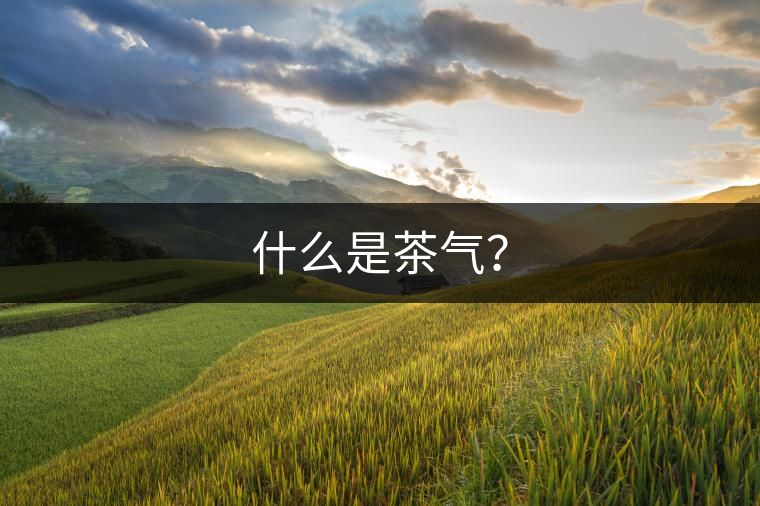什么是茶氣？