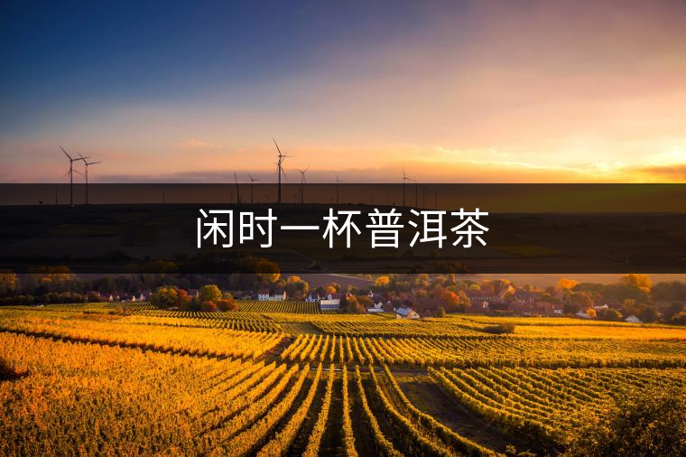 閑時(shí)一杯普洱茶 閑時(shí)一杯普洱茶