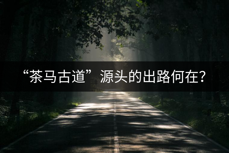 “茶馬古道”源頭的出路何在？