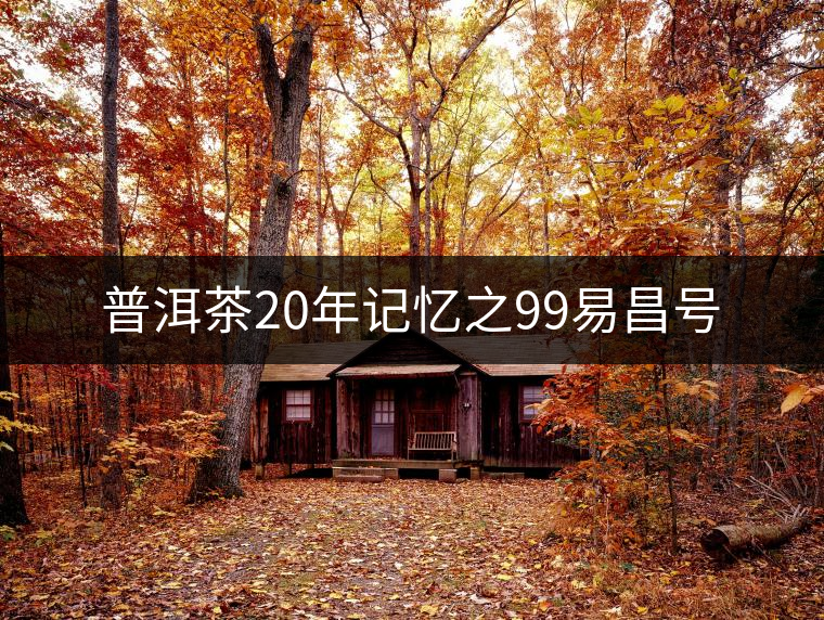 普洱茶20年記憶之99易昌號