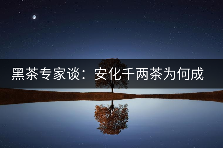 黑茶專家談：安化千兩茶為何成“世界茶王”？