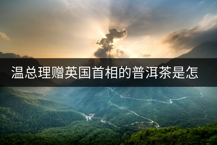 溫總理贈英國首相的普洱茶是怎么制作的？