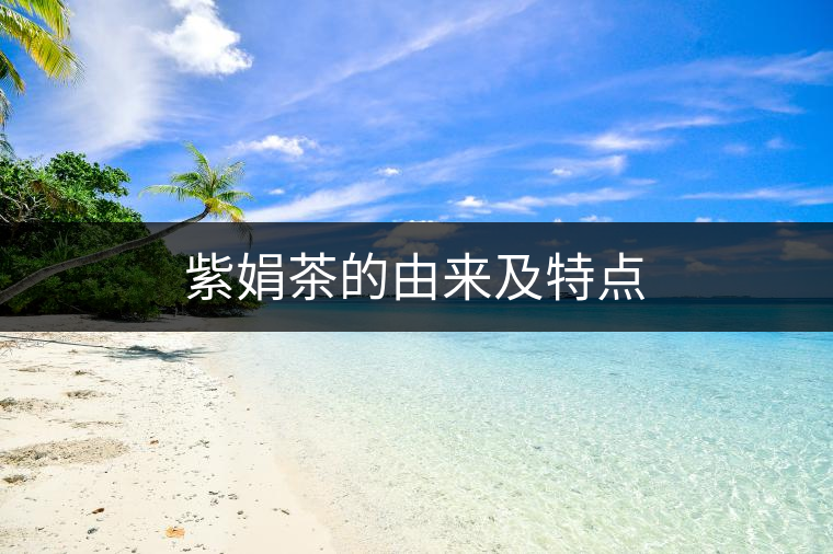 紫娟茶的由來及特點 紫娟茶的由來及特點