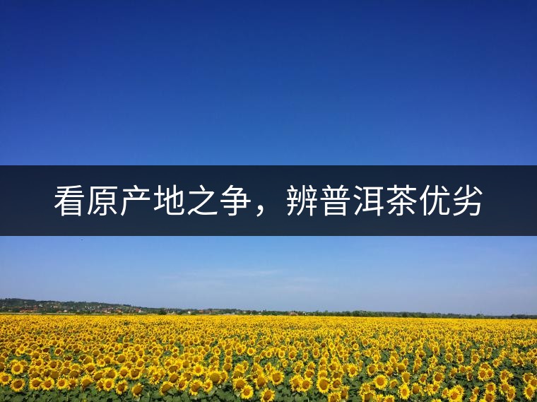 看原產(chǎn)地之爭(zhēng)，辨普洱茶優(yōu)劣