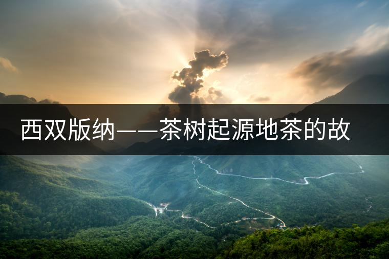 西雙版納——茶樹起源地茶的故鄉(xiāng)、云茶之源