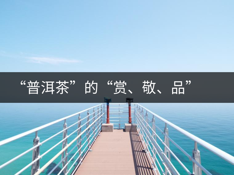 “普洱茶”的“賞、敬、品” 銘茶案坊