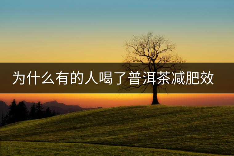 為什么有的人喝了普洱茶減肥效果不明顯呢？