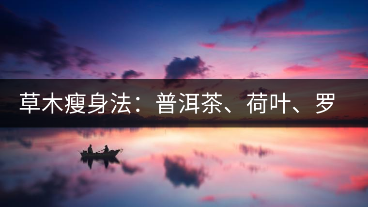 草木瘦身法：普洱茶、荷葉、羅漢果