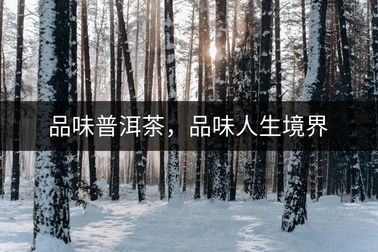 品味普洱茶，品味人生境界