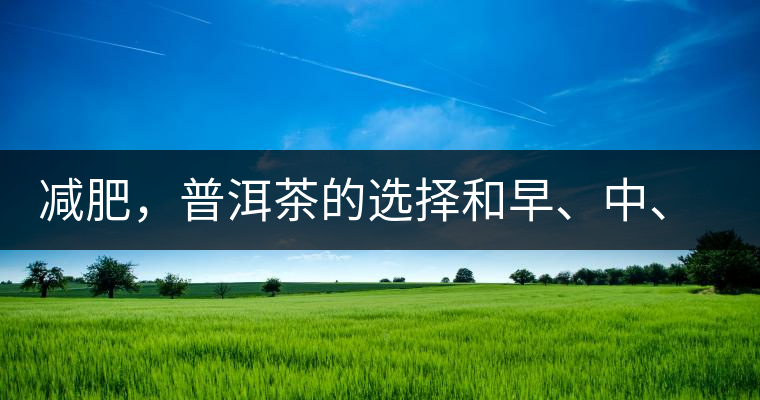 減肥，普洱茶的選擇和早、中、晚的喝法