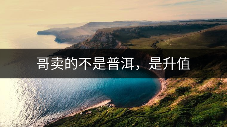 哥賣的不是普洱，是升值