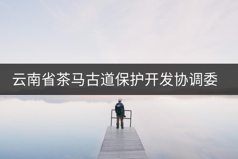 云南省茶馬古道保護(hù)開(kāi)發(fā)協(xié)調(diào)委員會(huì)成立