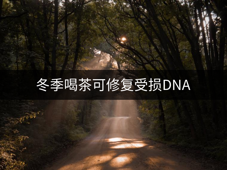 冬季喝茶可修復(fù)受損DNA
