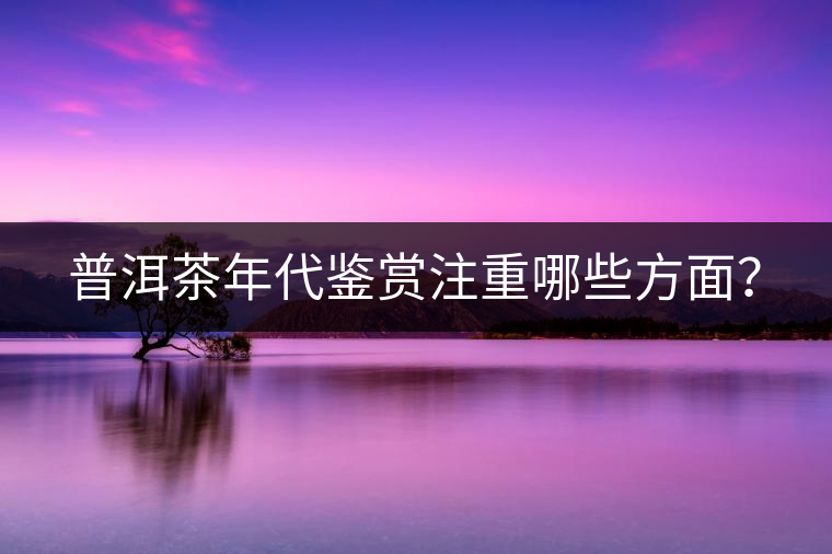 普洱茶年代鑒賞注重哪些方面？