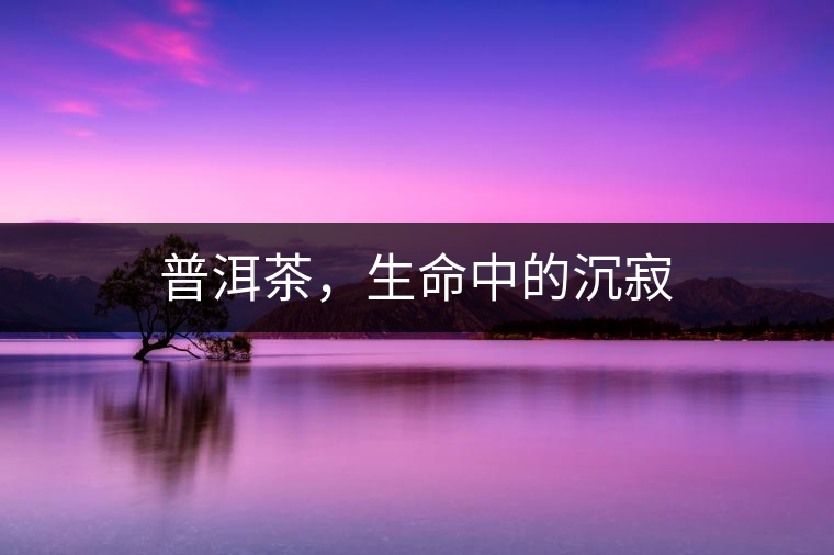 普洱茶，生命中的沉寂