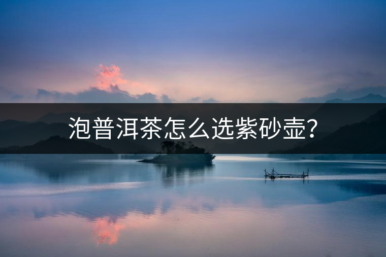 泡普洱茶怎么選紫砂壺？