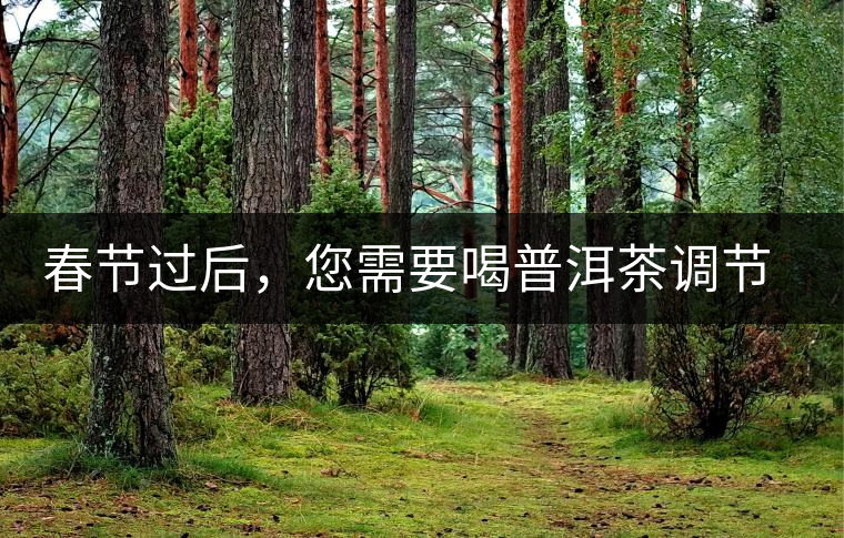 春節(jié)過后，您需要喝普洱茶調(diào)節(jié)身體