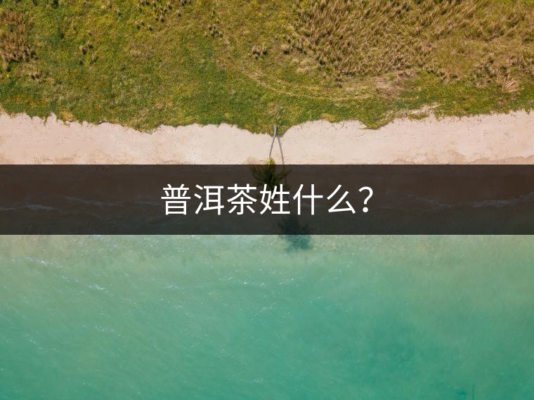 普洱茶姓什么？