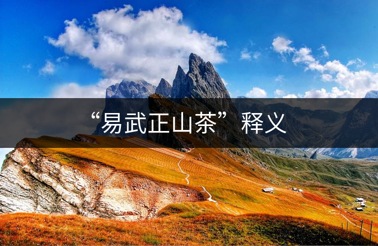 “易武正山茶”釋義