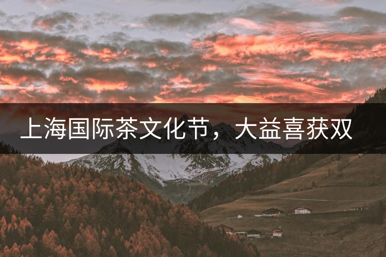 上海國(guó)際茶文化節(jié)，大益喜獲雙獎(jiǎng)