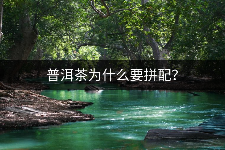 普洱茶為什么要拼配？