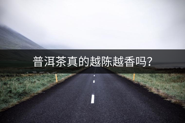 普洱茶真的越陳越香嗎？