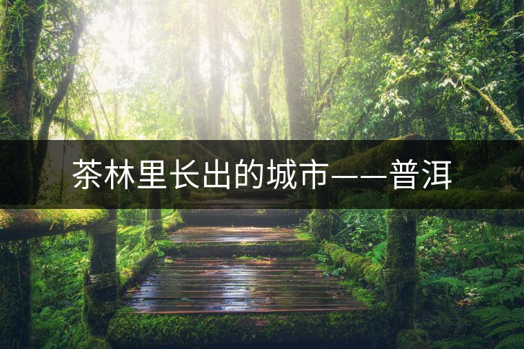 茶林里長(zhǎng)出的城市——普洱