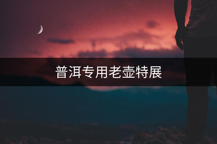 普洱專(zhuān)用老壺特展 普洱專(zhuān)用老壺特展