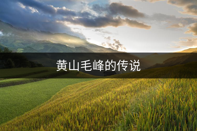黃山毛峰的傳說