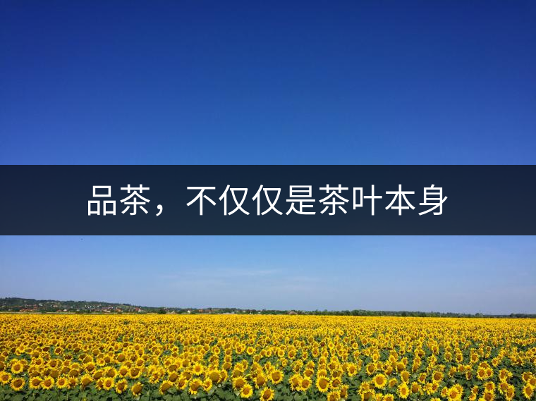 品茶，不僅僅是茶葉本身