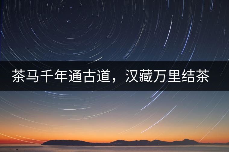 茶馬千年通古道，漢藏萬里結(jié)茶緣