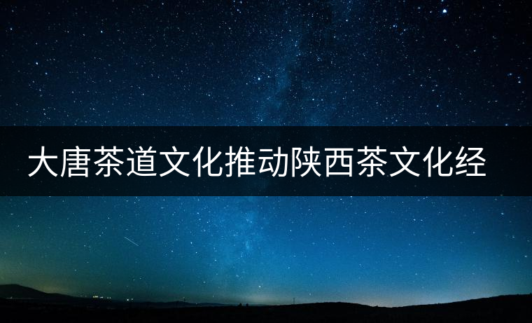 大唐茶道文化推動陜西茶文化經(jīng)濟(jì)的發(fā)展