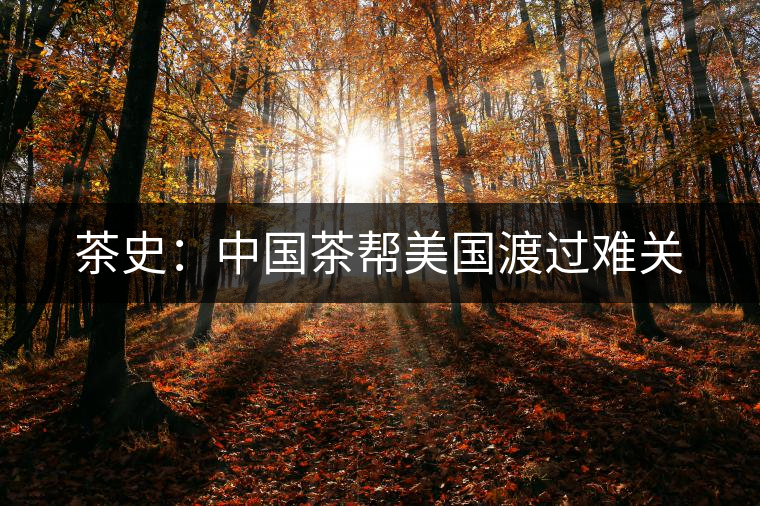 茶史：中國(guó)茶幫美國(guó)渡過難關(guān)