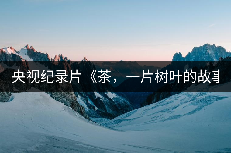 央視紀錄片《茶，一片樹葉的故事》紀錄片 昨晚開播