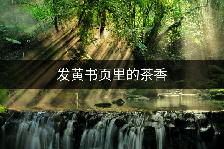 發(fā)黃書頁(yè)里的茶香