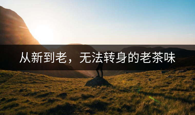 從新到老，無(wú)法轉(zhuǎn)身的老茶味