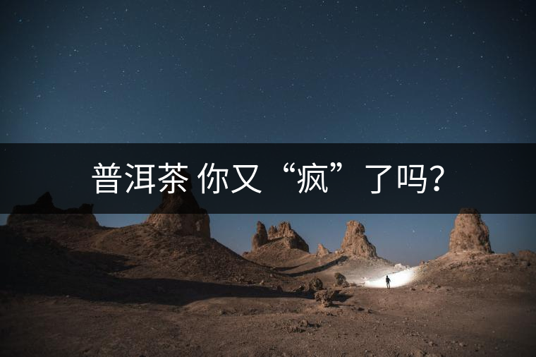 普洱茶 你又“瘋”了嗎？