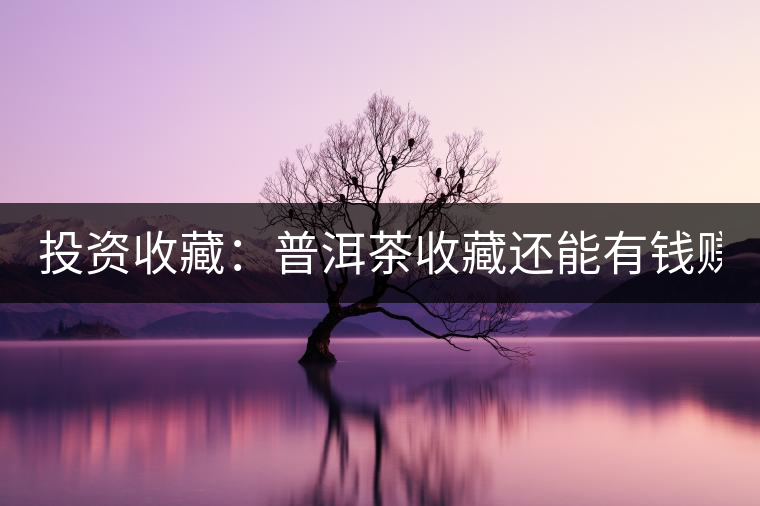 投資收藏：普洱茶收藏還能有錢賺嗎？