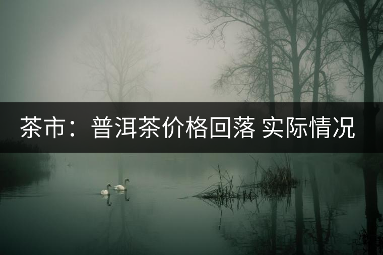 茶市：普洱茶價格回落 實際情況究竟如何？