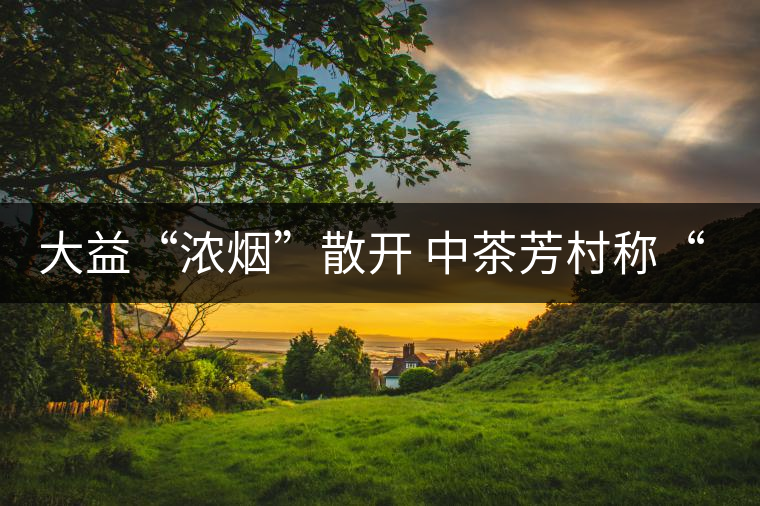 大益“濃煙”散開 中茶芳村稱“王”？