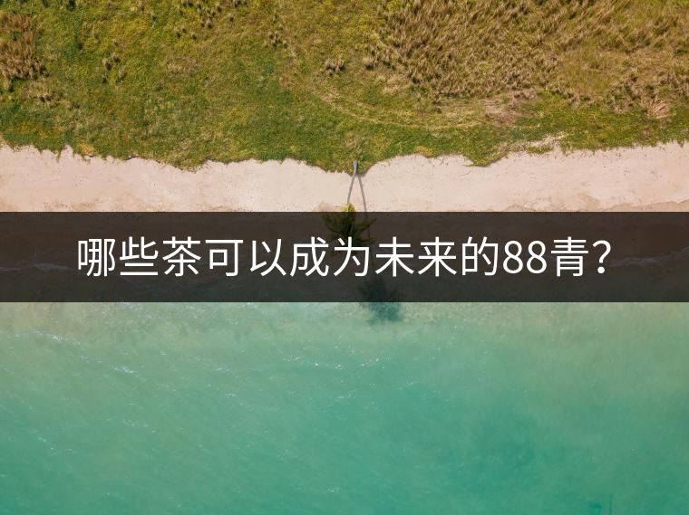 哪些茶可以成為未來的88青？