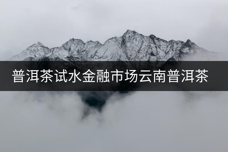 普洱茶試水金融市場(chǎng)云南普洱茶企在北京國(guó)際版權(quán)交易中心掛牌上市 普洱茶試水金融市場(chǎng)云南普洱茶企在北京國(guó)際版權(quán)交易中心掛牌上市