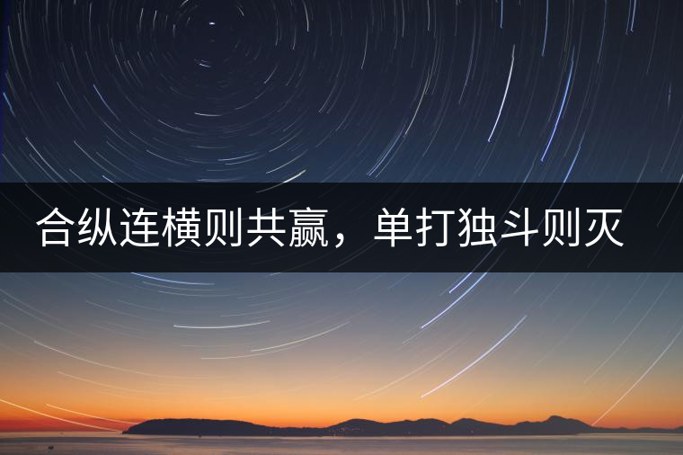 合縱連橫則共贏，單打獨斗則滅亡